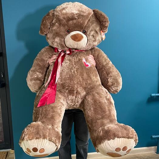 Teddy bear