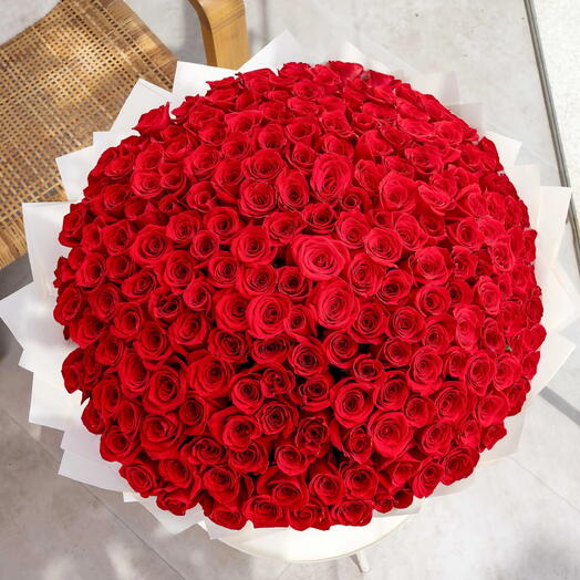 200 red roses