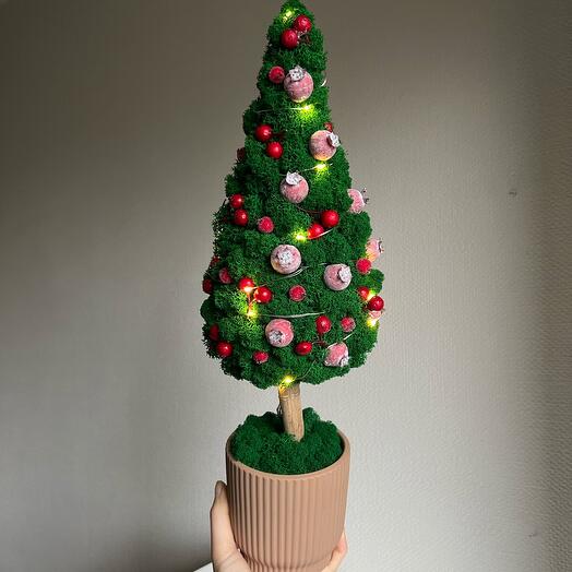 Елочка из стабилизированного мха 🎄