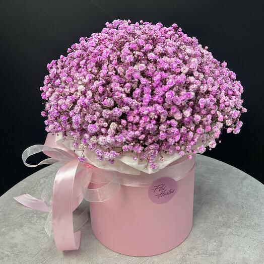 Composition of pink gypsophila