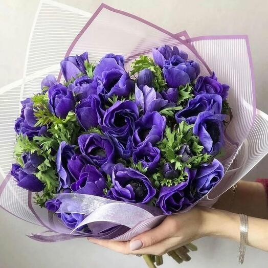 Букет из фиолетовых анемонов 39 шт