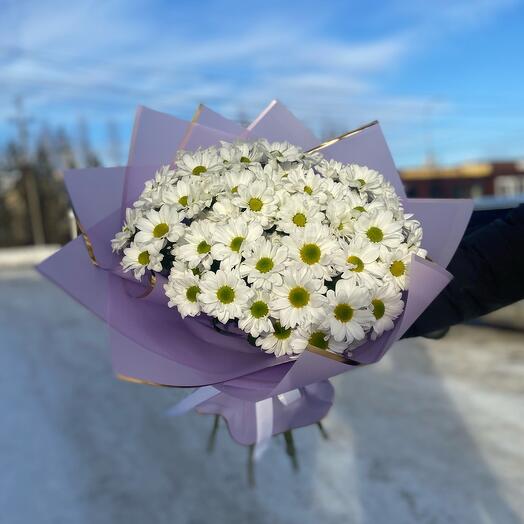 9 Кустовых хризантем «Кеннеди»