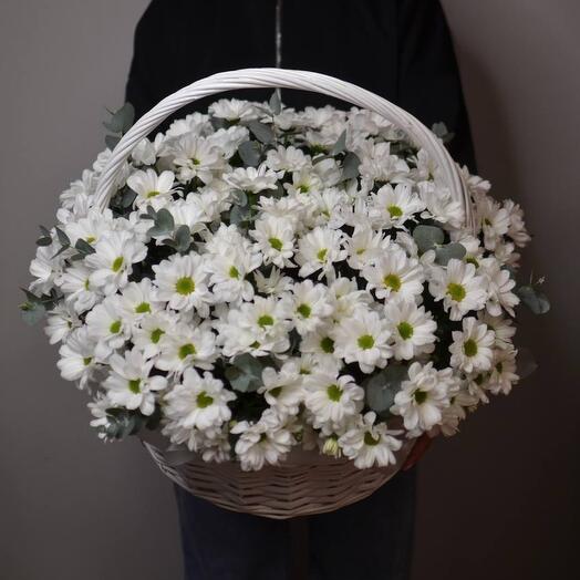 Корзина с ромашковидной хризантемой и эвкалиптом