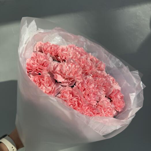 Dianthus rosa