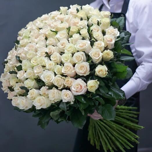 101 cream roses 60cm