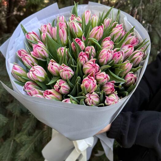 45 Bazsarózsa Tulipán-Pinky Fehér