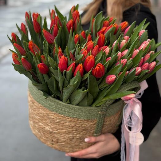 Корзина с тюльпанами «Малиновое Солнце»
