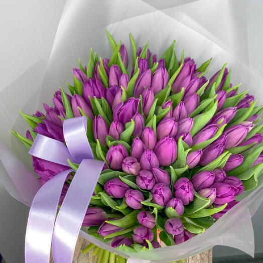 99 Purple Tulips