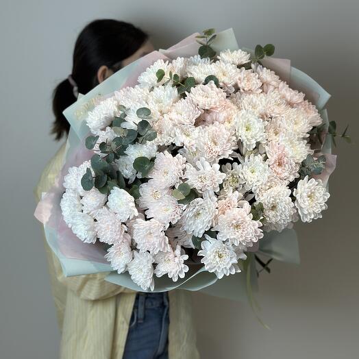 Хризантема L