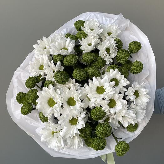 9 кустовых хризантем🤍💚🤍