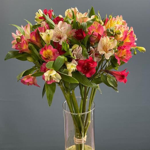 Bouquet of 11 multicolored alstrameria