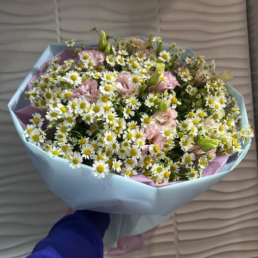 Камилла ромашка