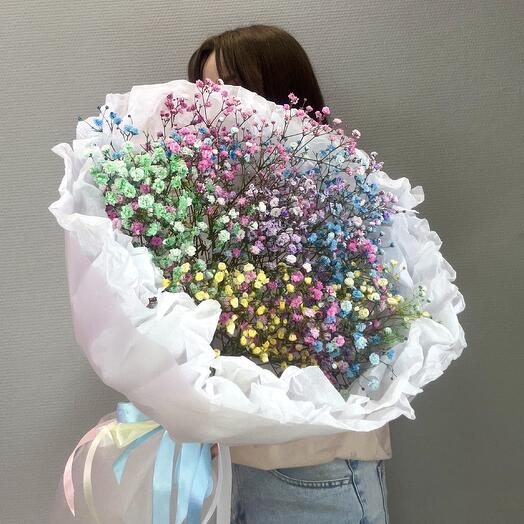 Гипсофила радуга 🌈