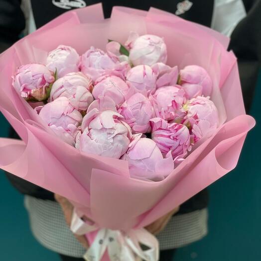 Пионы розовые, 15 шт. Пион Сара Бернар