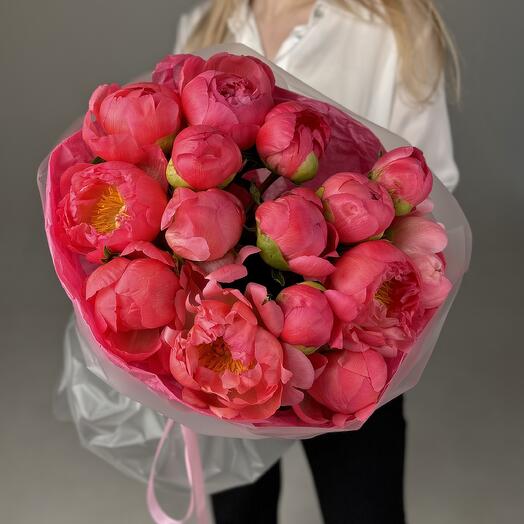 Пионы Coral Charm 15