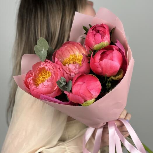 Пионы Coral Charm 5шт