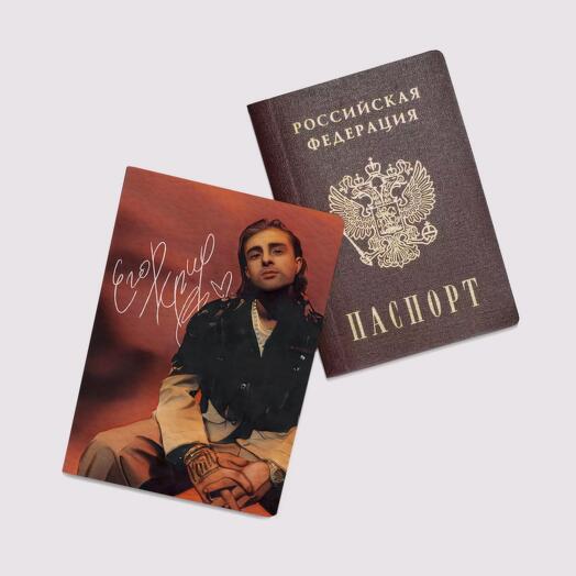 Обложка на паспорт женская, для документов "Егор Крид"
