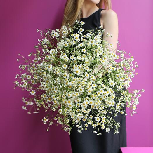 КАМИЛЛА 25