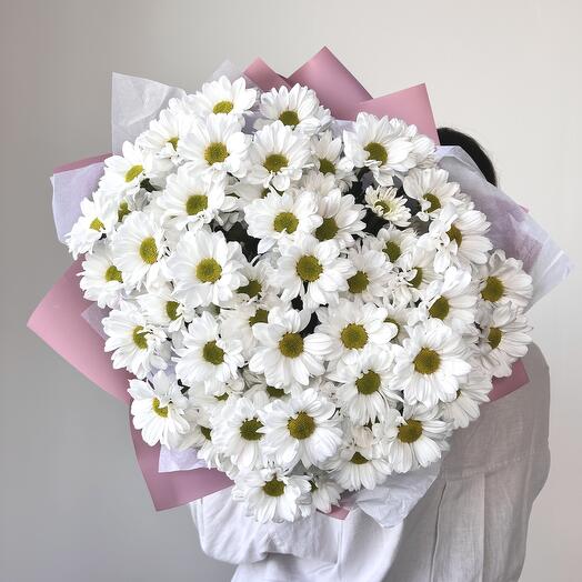 Букет 9 хризантема ромашка (D533)