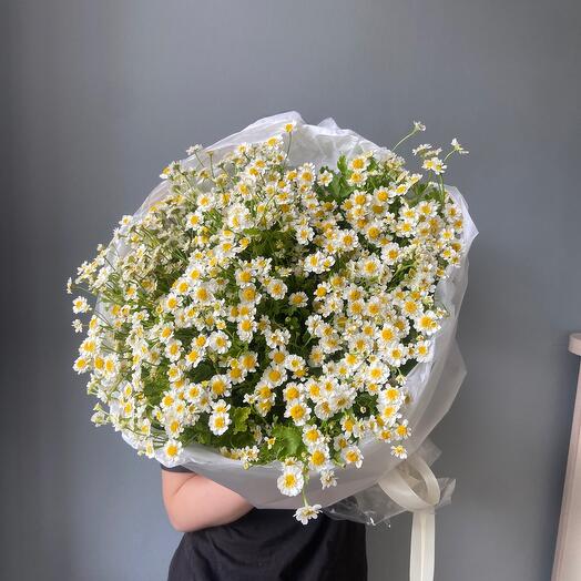 Пышные ромашки 🌸