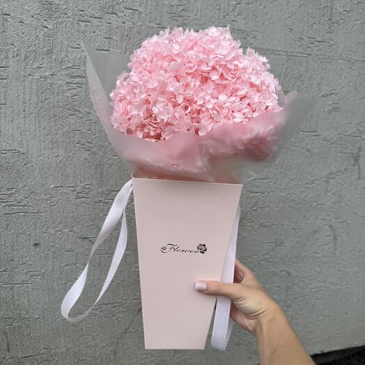 Гортензия стабилизированная светло-розовая