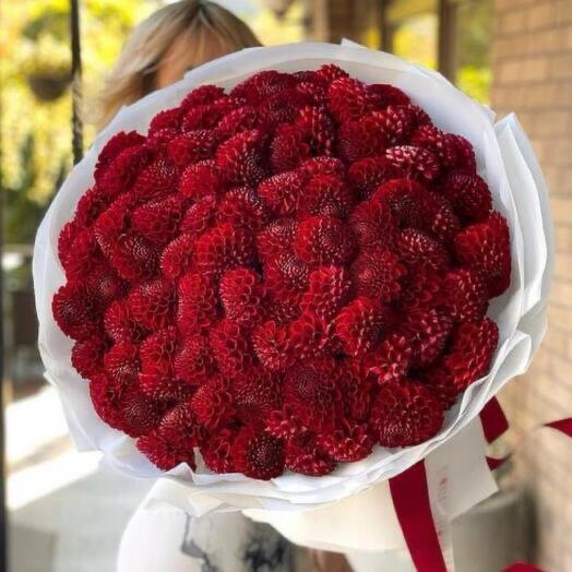 Букет из 51 красной георгины