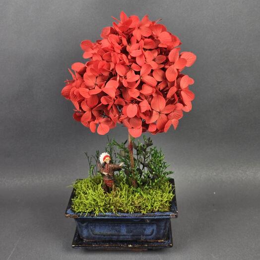 Бонсай и индеец