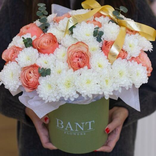 Сборный бокс 6