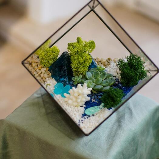 Флорариум "Берег моря"