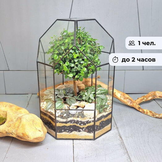 Живая композиция. Индивидуальный мастер-класс по созданию бонсариума
