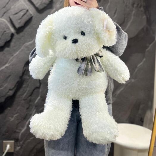 Белоснежная собачка с бантиком🐶🥰