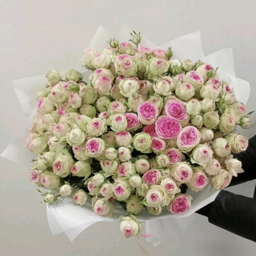 Peony-shaped roses🌹