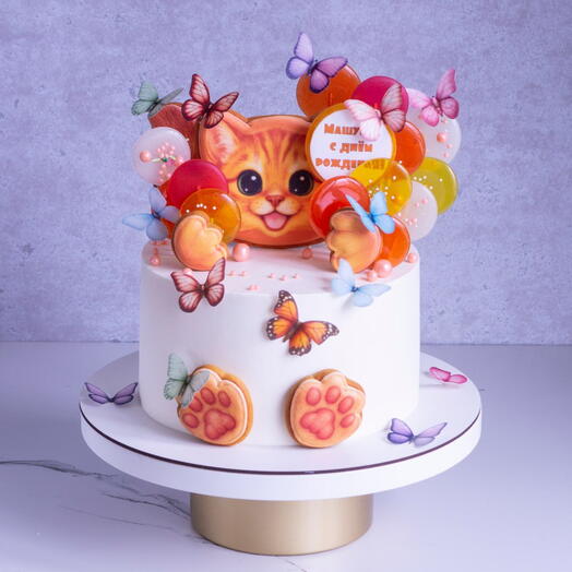 Торт с котиком (котика можно заменить!)