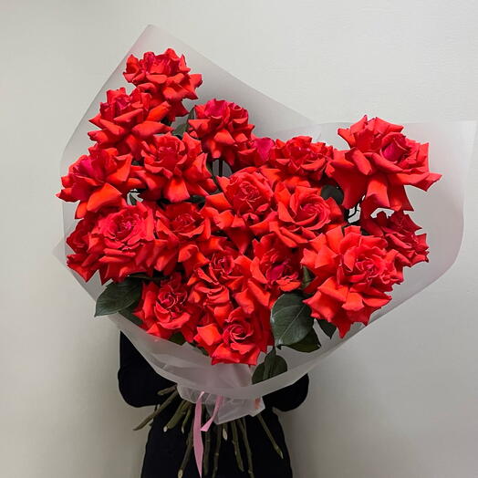 Роза Нина 19