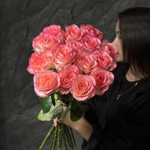 Jumilia 15 (70cm)