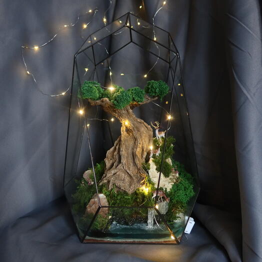 Моссариум "Лес"