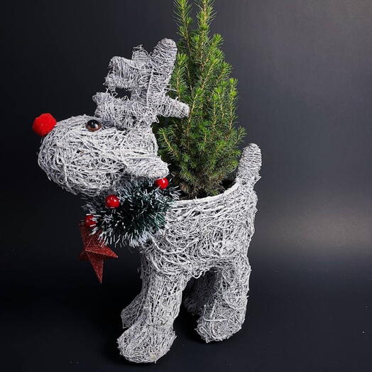 Олень с живой ёлкой - Новогодний подарок