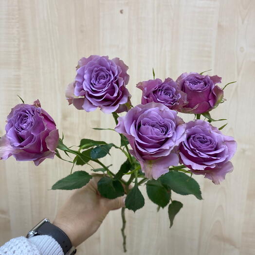 Кустовая Роза Лейла