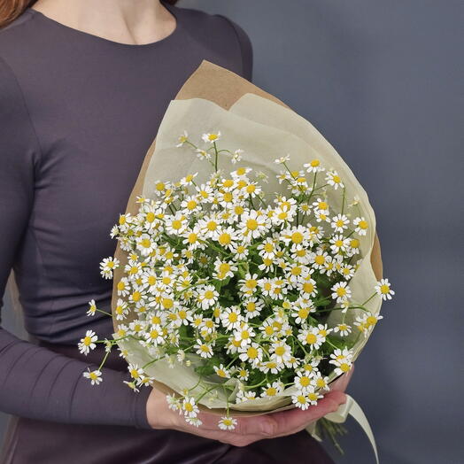Bouquet "Russian Beauty" daisies 5 pieces ( tanacetum, field daisy, matricaria)