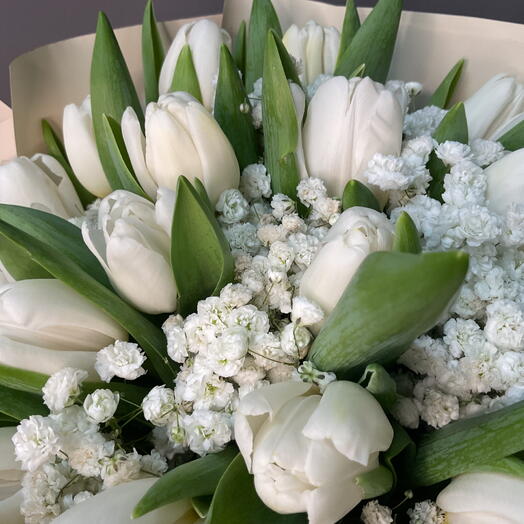 Букет из 23 тюльпанов