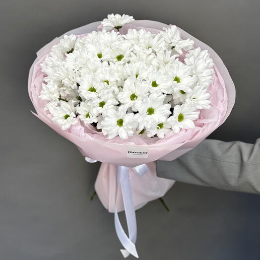 Хризантема ромашка розовая