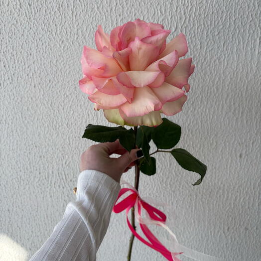 Французская Роза