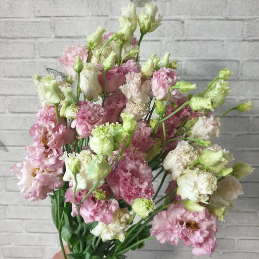 Эустома Alissa pink