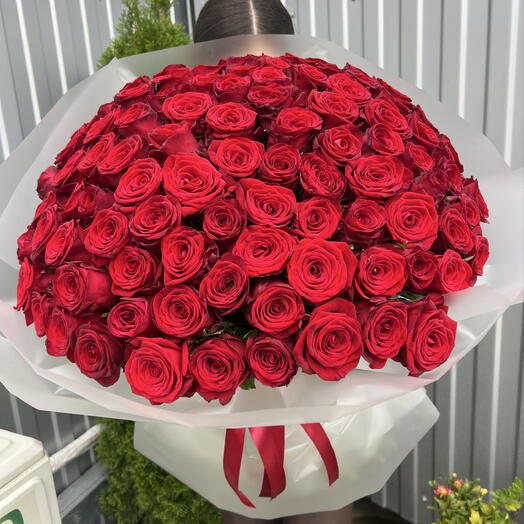 101 красная Роза 🌹