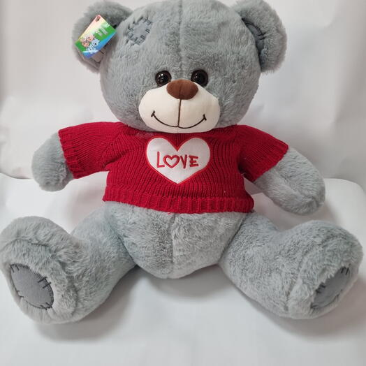 Teddy 🧸