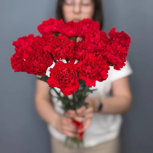 Гвоздики Красные 15 штук