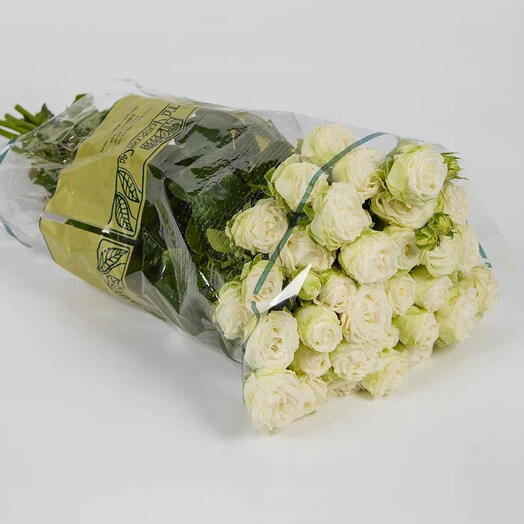 Пачка кустовых роз "Мисс Бомбастик" 50см (10 шт)