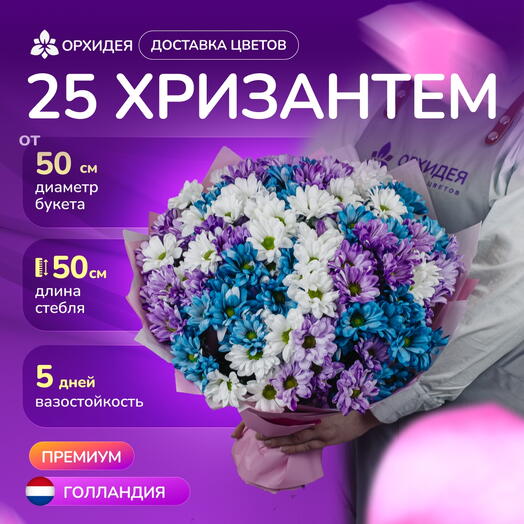 25 хризантем микс краш