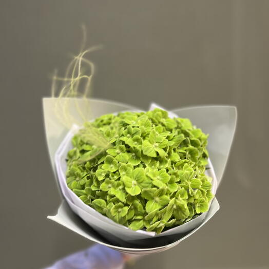 Изумрудная мечта 🌿🤍