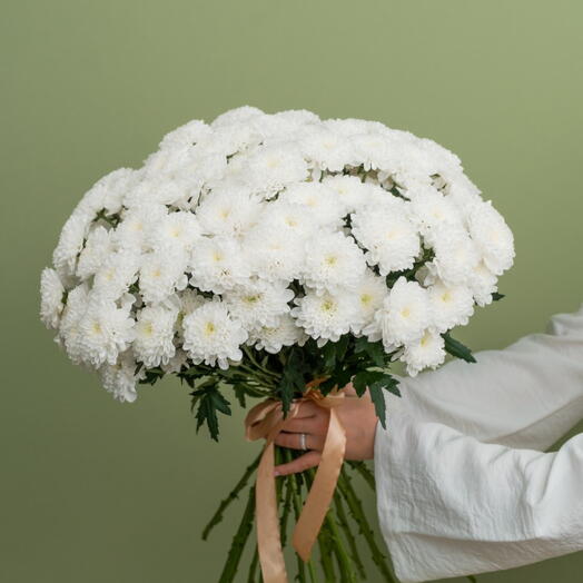 Алтай 25